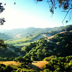 Pt Reyes Petaluma Rd